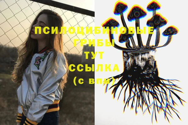 a pvp Абдулино