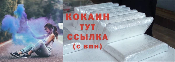 твердый Осинники