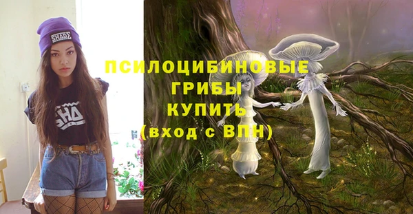 МДПВ Осташков