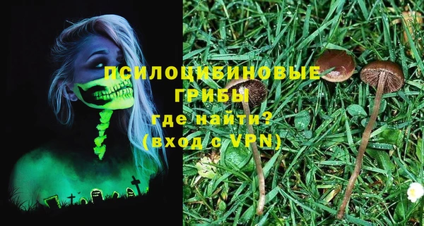 круглые Абаза